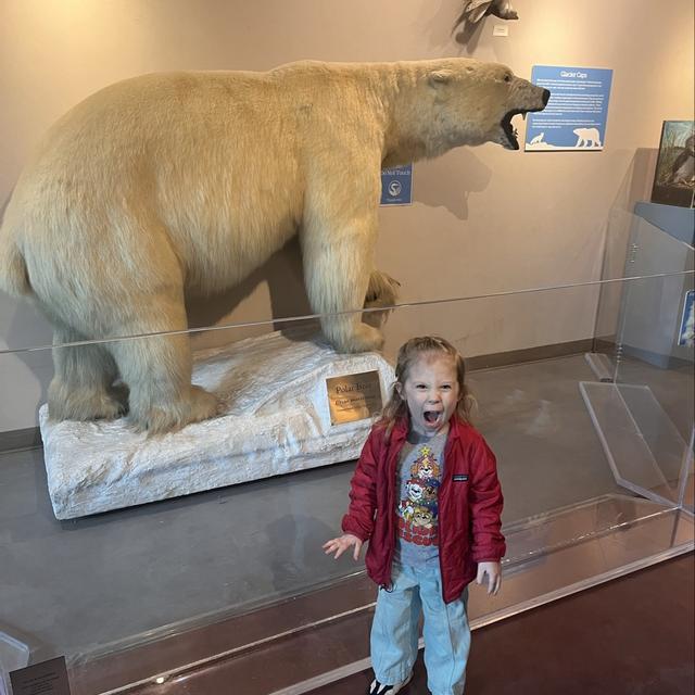 Recent check-in photo 4