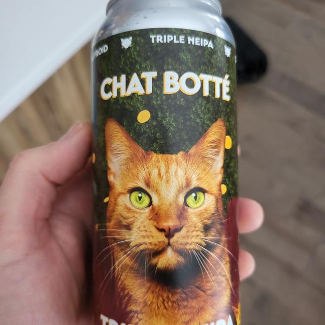 Recent check-in photo 4