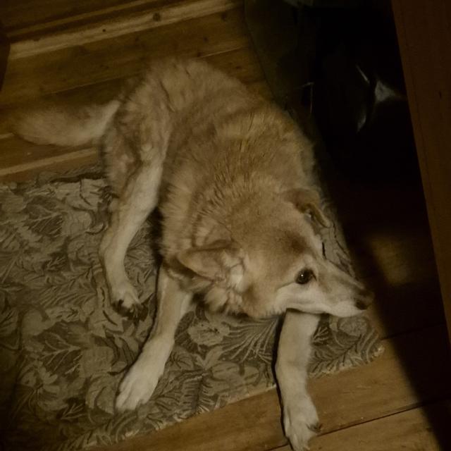 Recent check-in photo 2