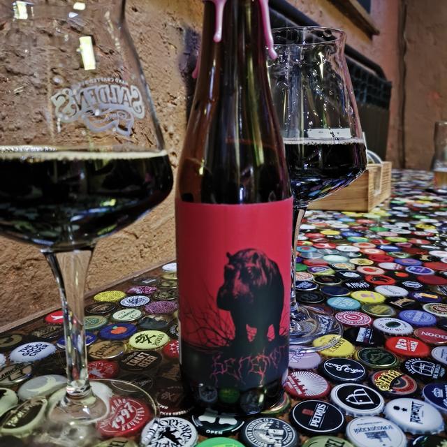 Recent check-in photo 3