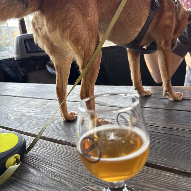 Recent check-in photo 4