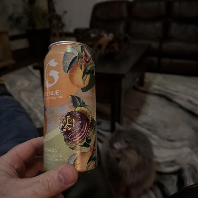 Recent check-in photo 4