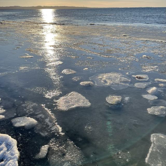 Recent check-in photo 4