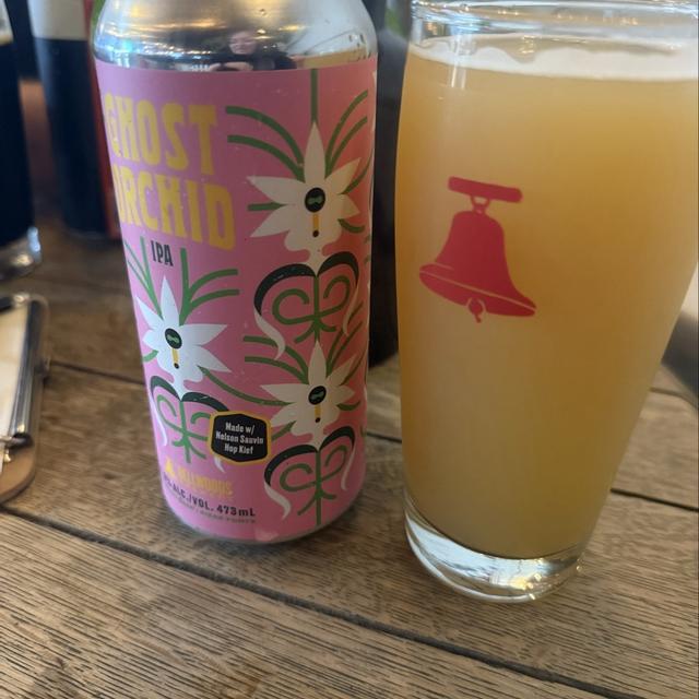 Recent check-in photo 6