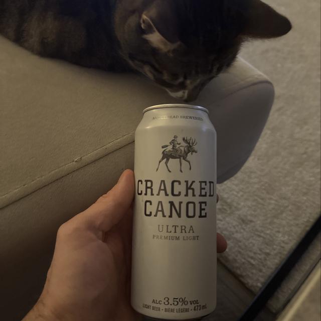 Recent check-in photo 5