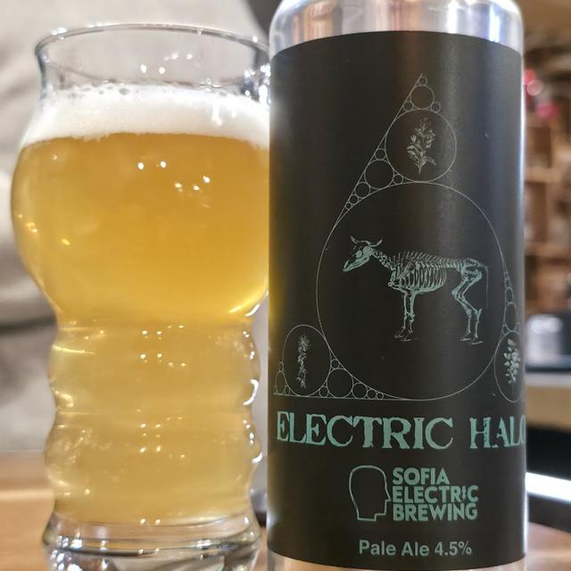 Recent check-in photo 6