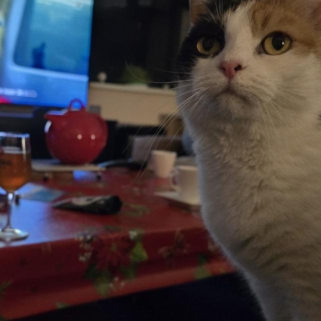 Recent check-in photo 1