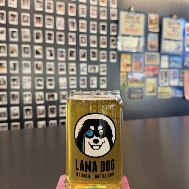 Recent check-in photo 3