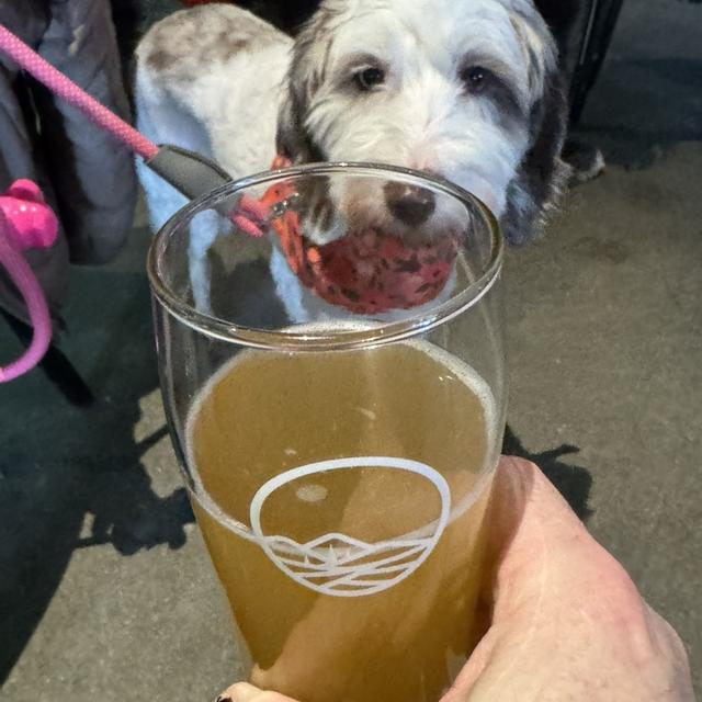 Recent check-in photo 4