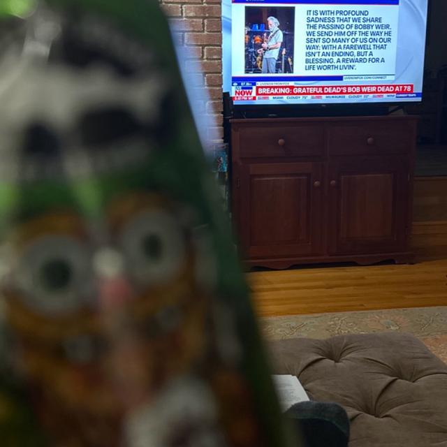 Recent check-in photo 1