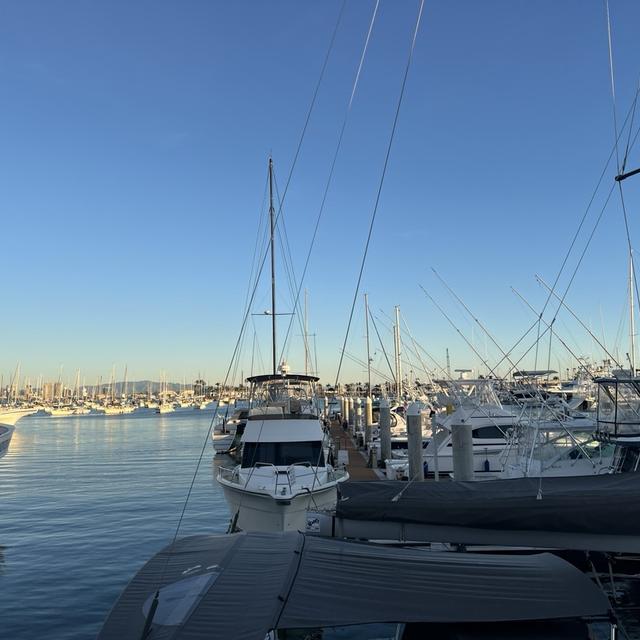 Recent check-in photo 5