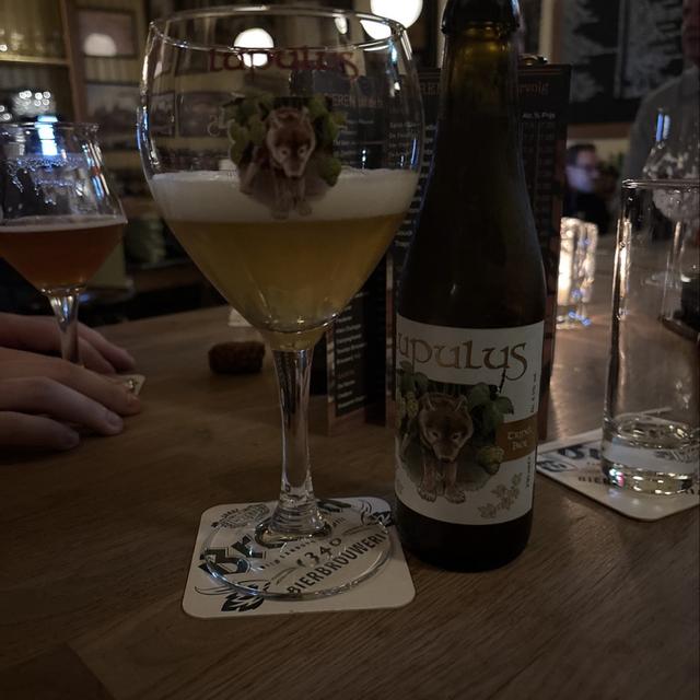 Recent check-in photo 6