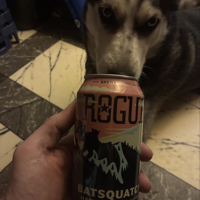 Recent check-in photo 3