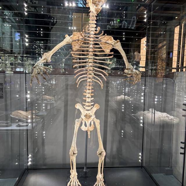 Recent check-in photo 5