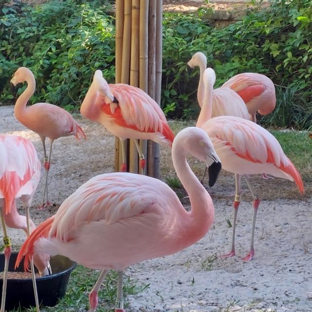 Recent check-in photo 1