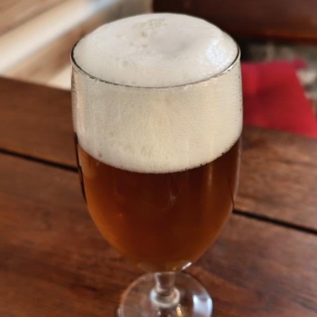 Recent check-in photo 5