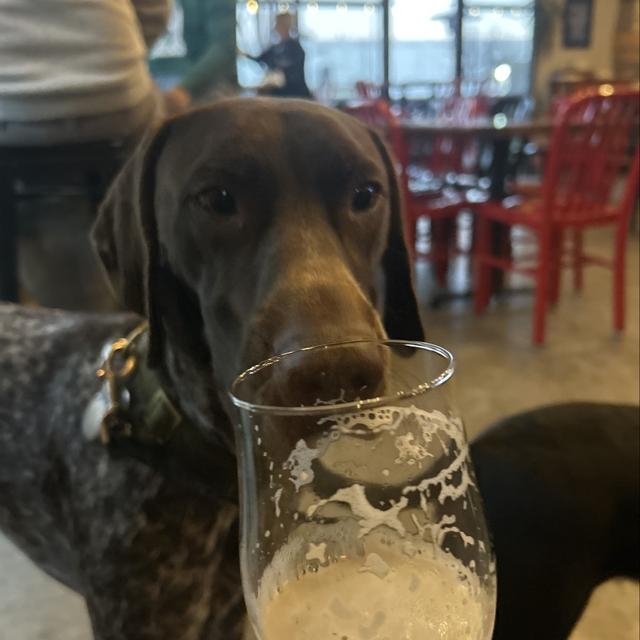 Recent check-in photo 1