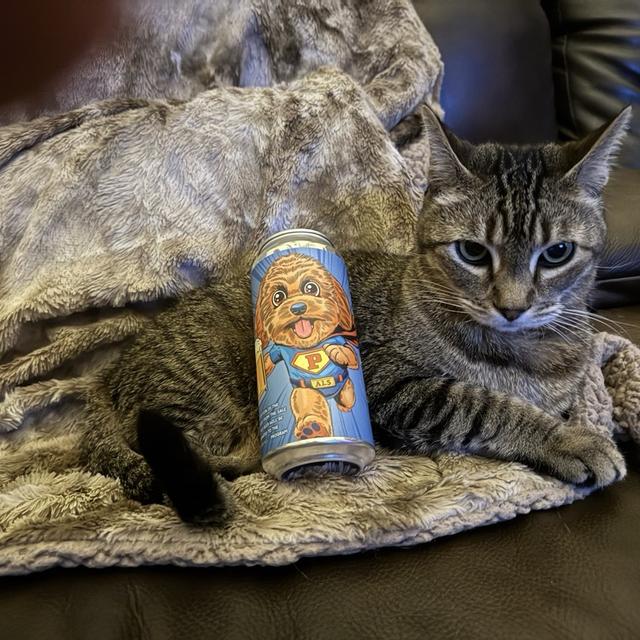 Recent check-in photo 4