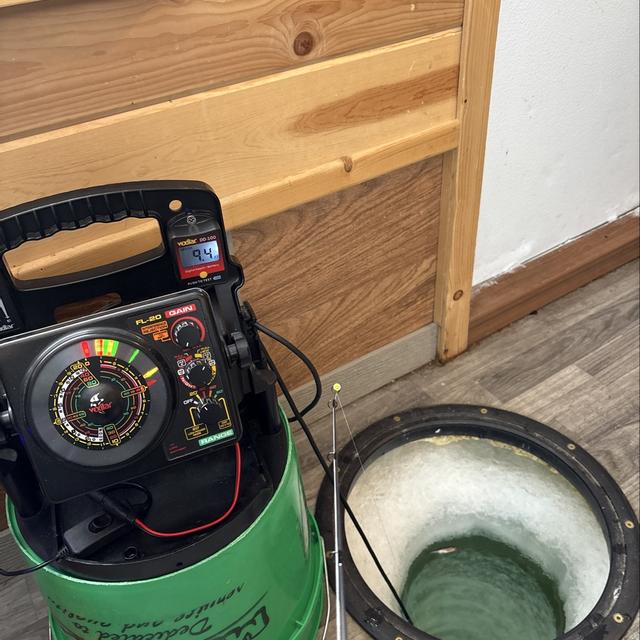 Recent check-in photo 2