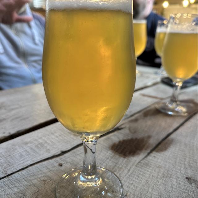 Recent check-in photo 3