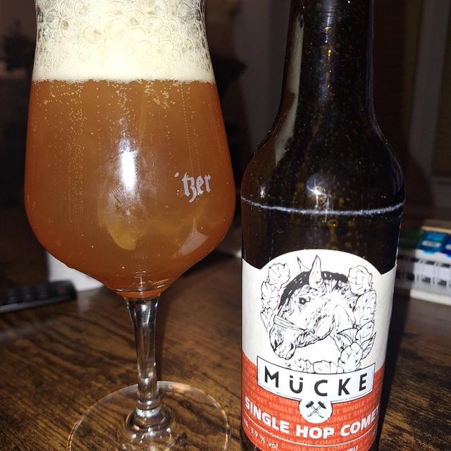 Recent check-in photo 1