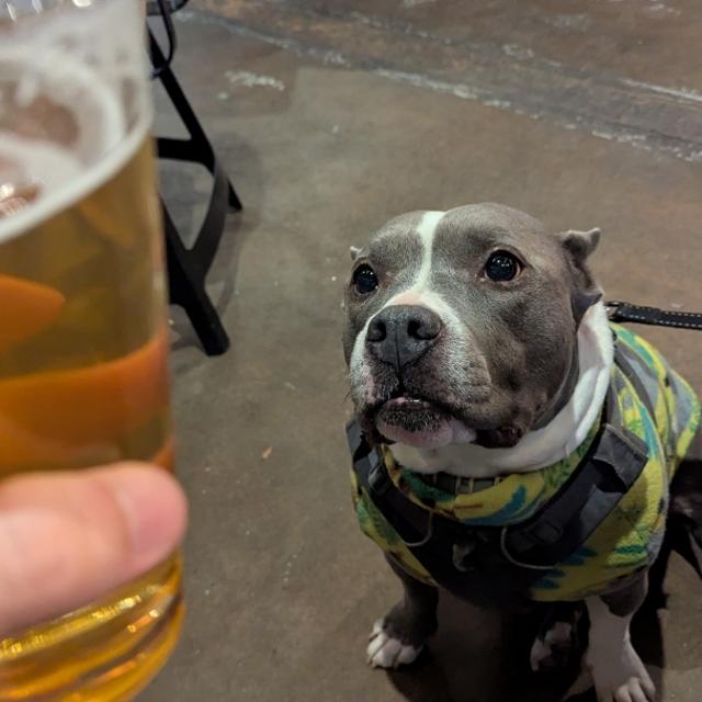 Recent check-in photo 1