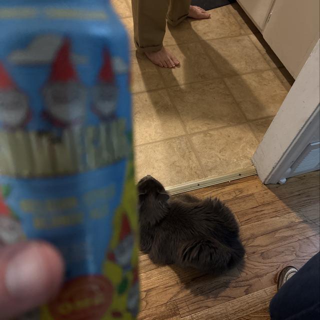 Recent check-in photo 1