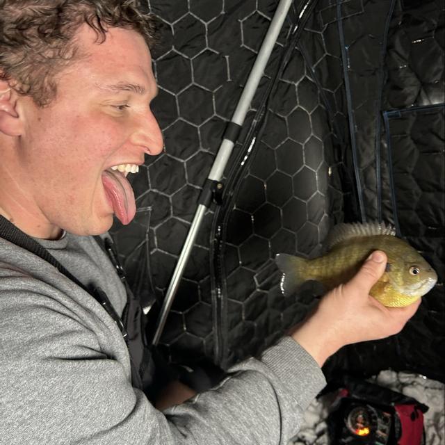 Recent check-in photo 1