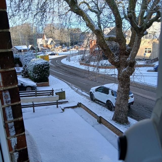 Recent check-in photo 1