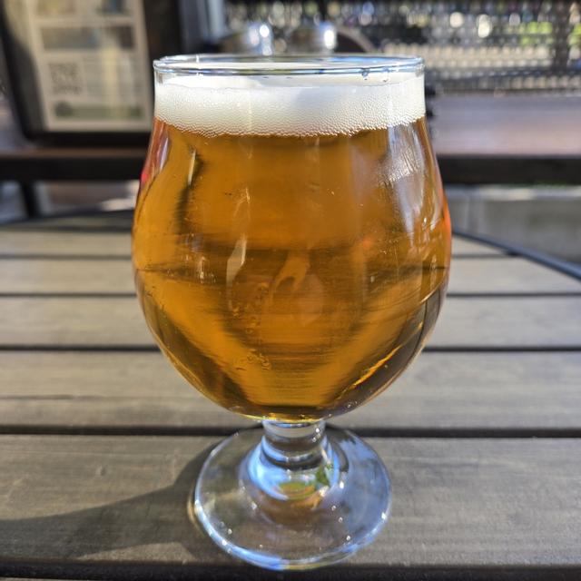 Recent check-in photo 6