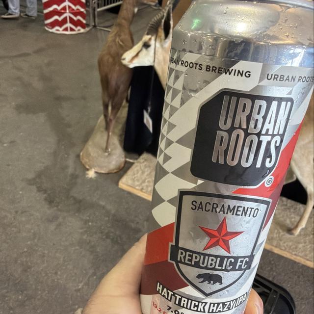 Recent check-in photo 1