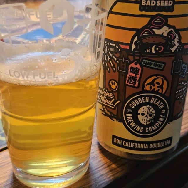 Recent check-in photo 5