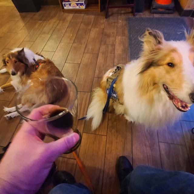 Recent check-in photo 1