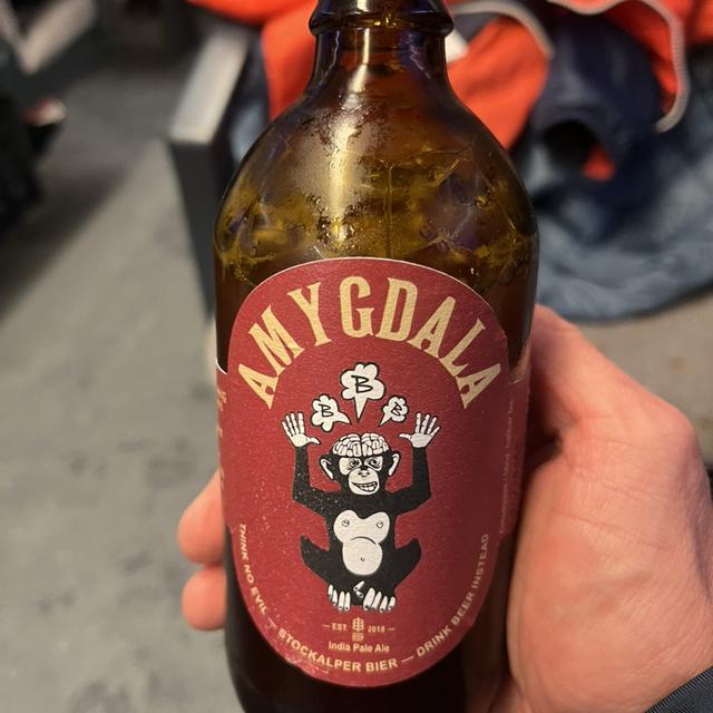 Recent check-in photo 1