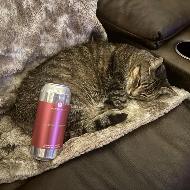 Recent check-in photo 3