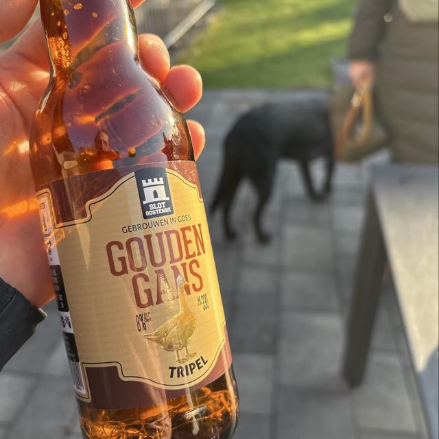 Recent check-in photo 6