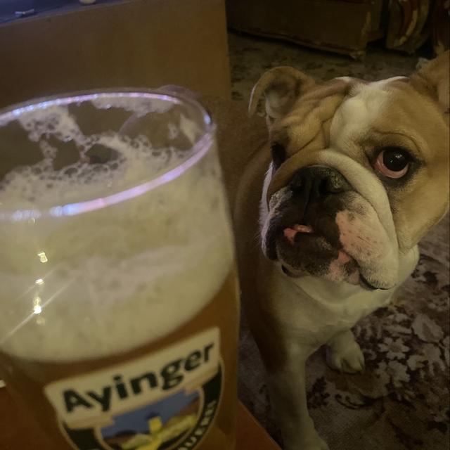 Recent check-in photo 4