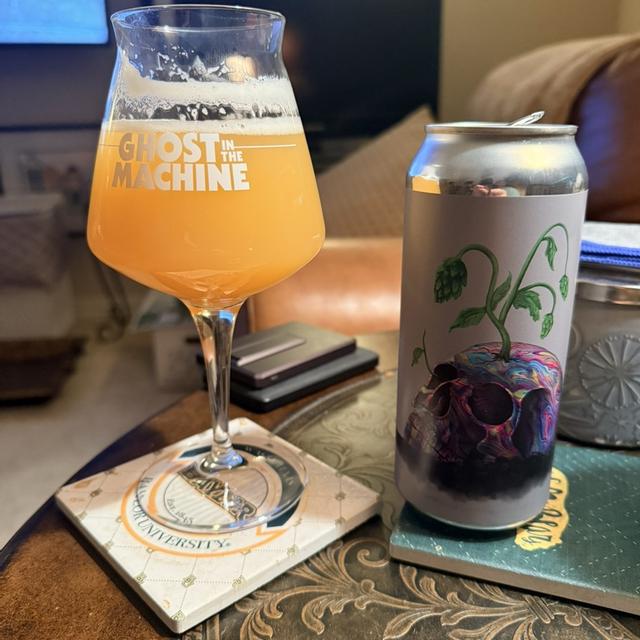 Recent check-in photo 3