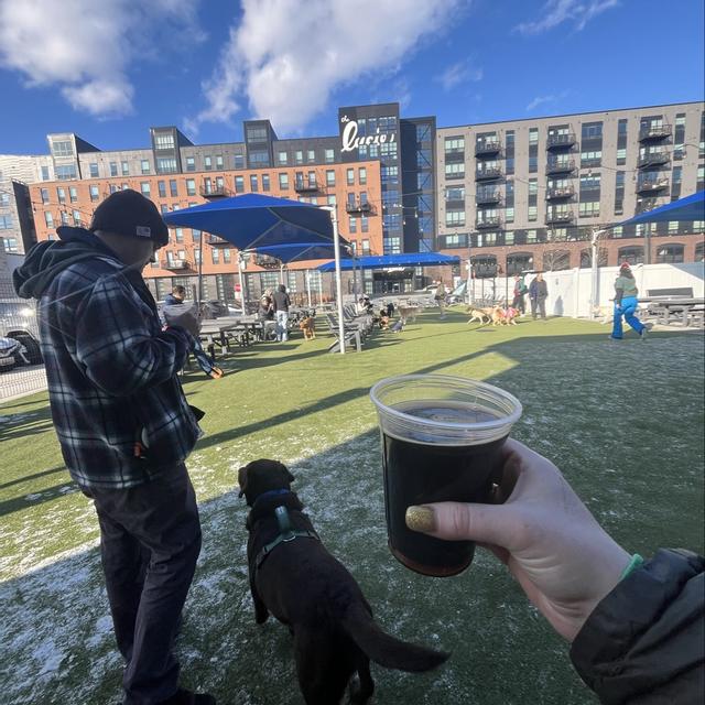 Recent check-in photo 4