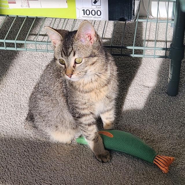 Recent check-in photo 1