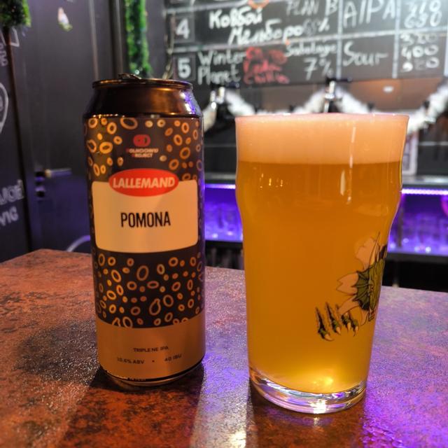 Recent check-in photo 2