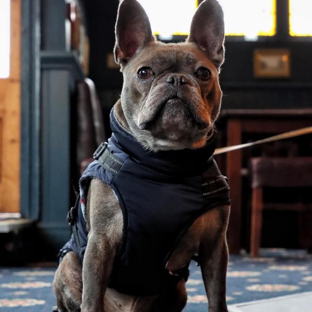 Recent check-in photo 2