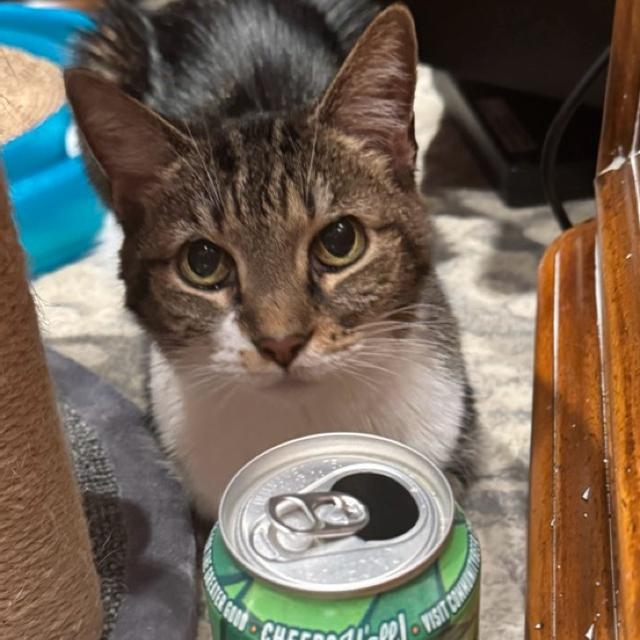 Recent check-in photo 2