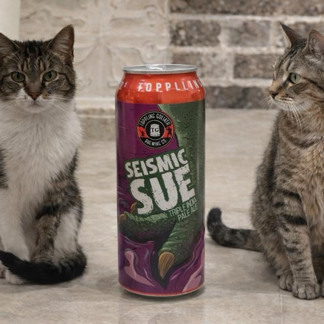 Recent check-in photo 1