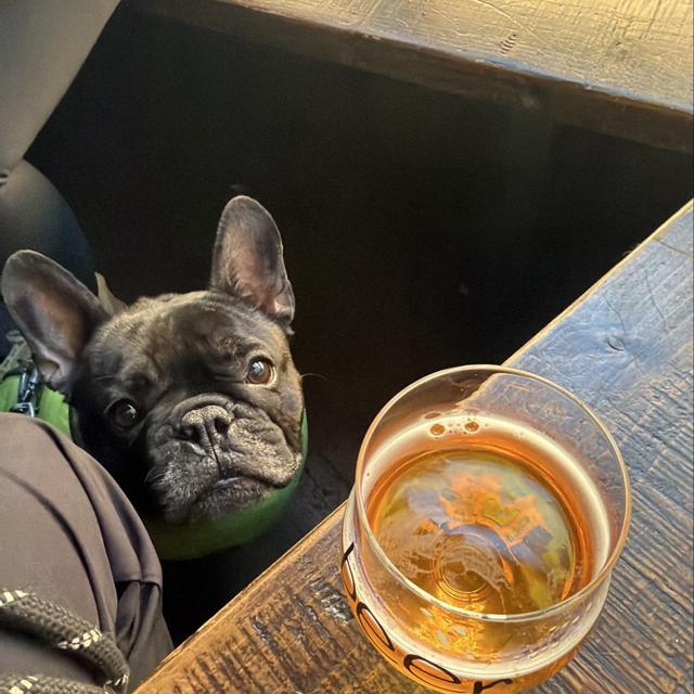 Recent check-in photo 5