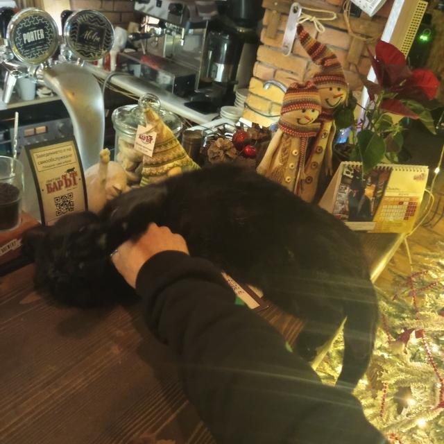 Recent check-in photo 1