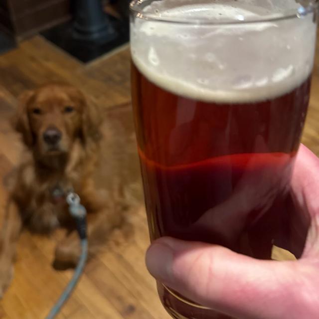 Recent check-in photo 2