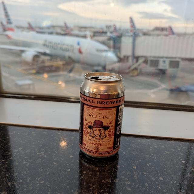 Recent check-in photo 4