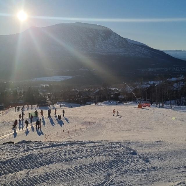 Recent check-in photo 4