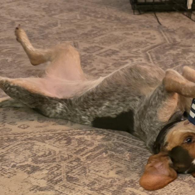 Recent check-in photo 4